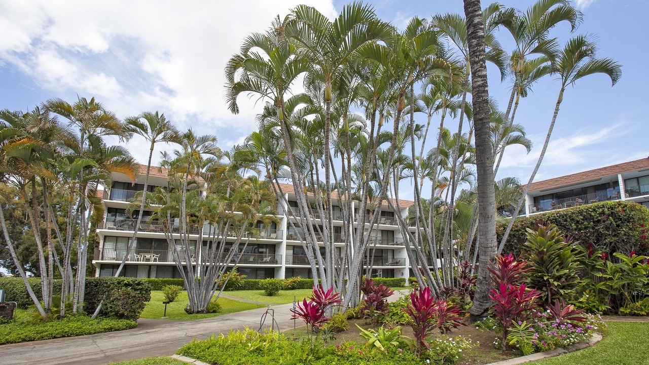 Photo of Outdoor in Kihei
