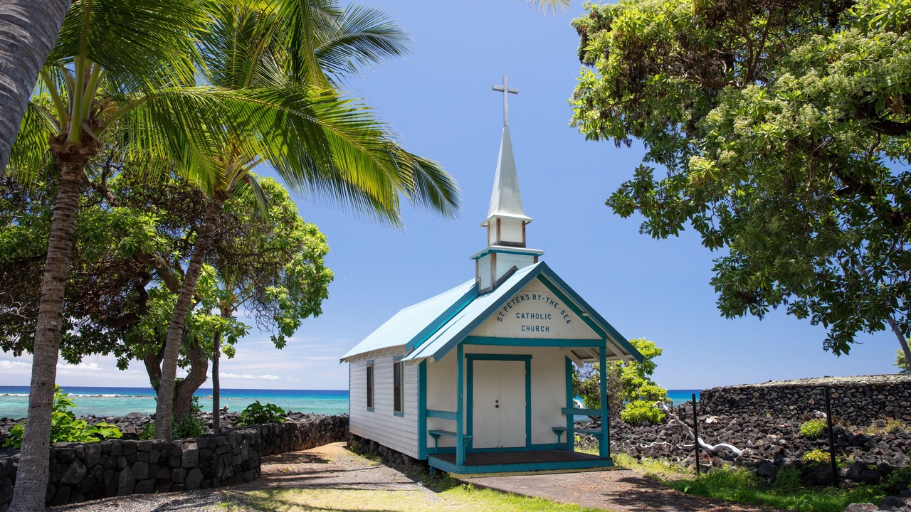 Photo of Others in Kahaluu Bay