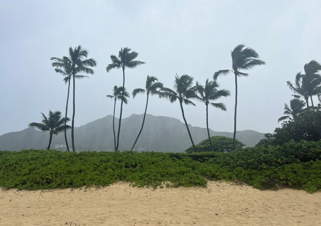 Photo of Others in Lanikai