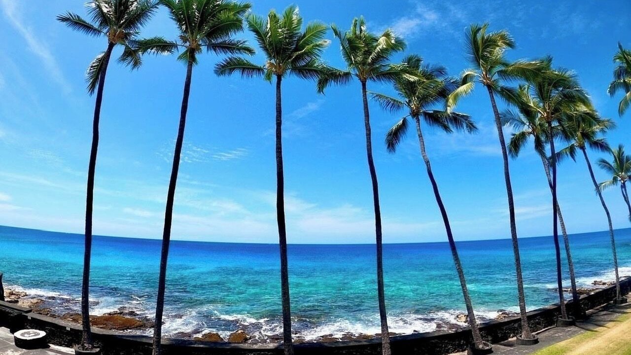 Photo of Others in Kahaluu Bay
