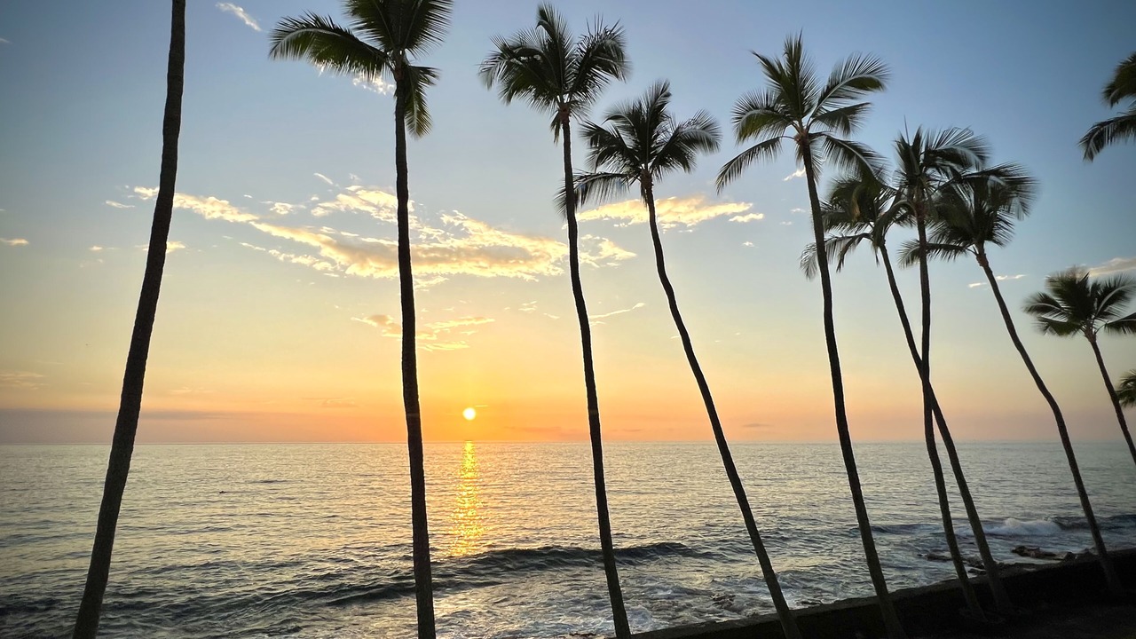 Photo of Others in Kahaluu Bay