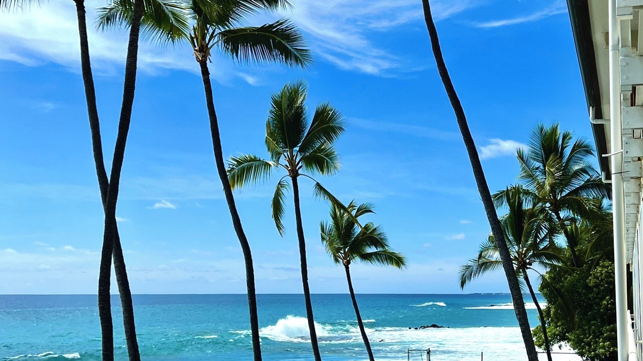 Photo of Outdoor in Kahaluu Bay