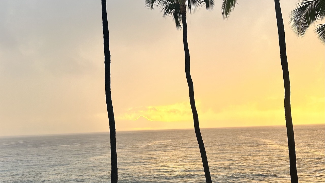 Photo of Others in Kahaluu Bay