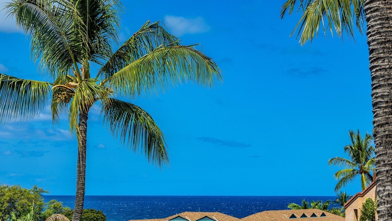 Photo of Outdoor in Kihei