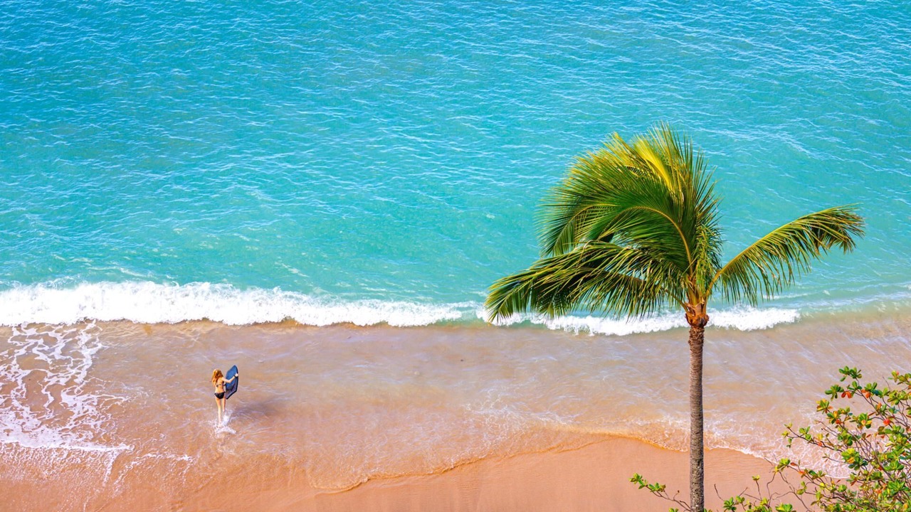 Photo of Others in Kahana