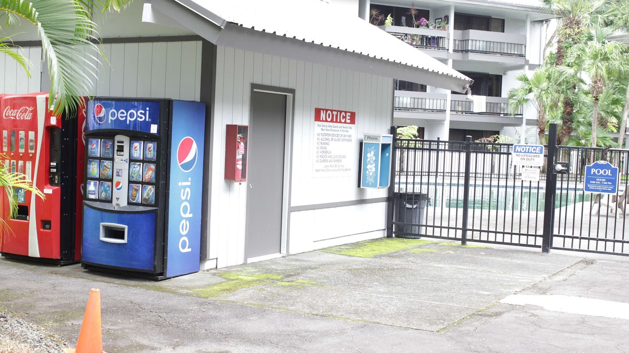Photo of Outdoor in Hilo