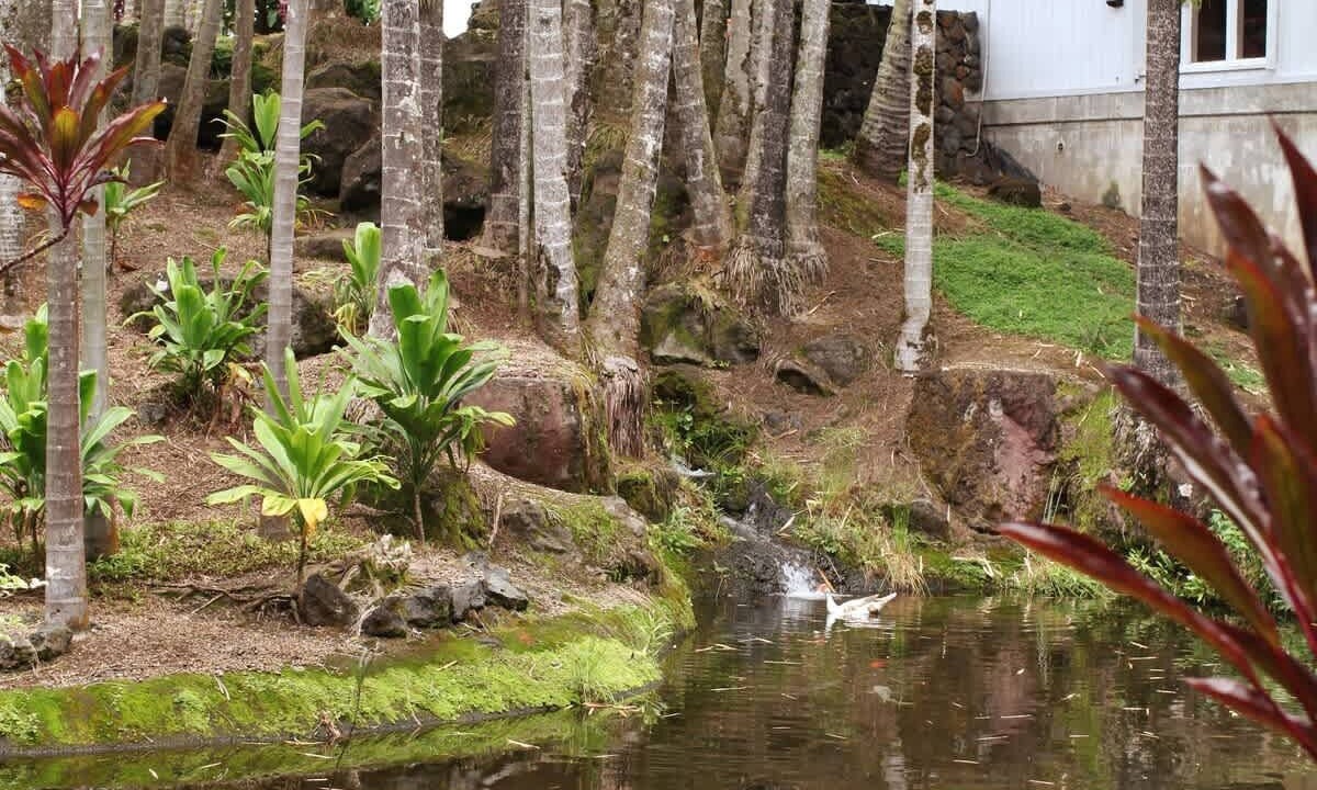 Photo of Others in Hilo