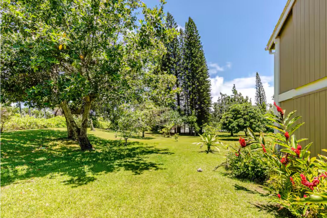 Photo of Outdoor in Kahuku