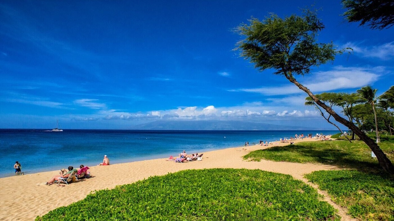 Photo of Others in Kaanapali
