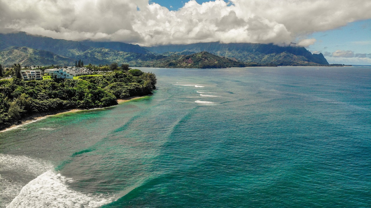 Photo of Others in Princeville