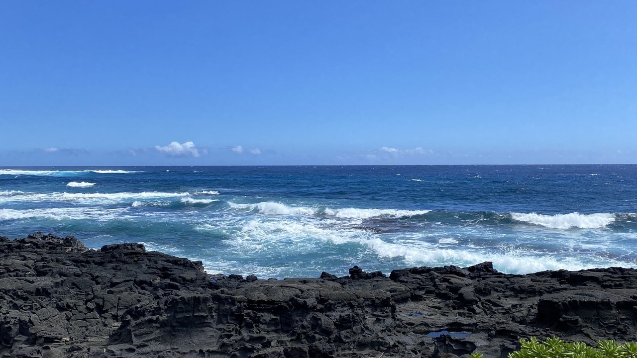 Photo of Others in Kapoho