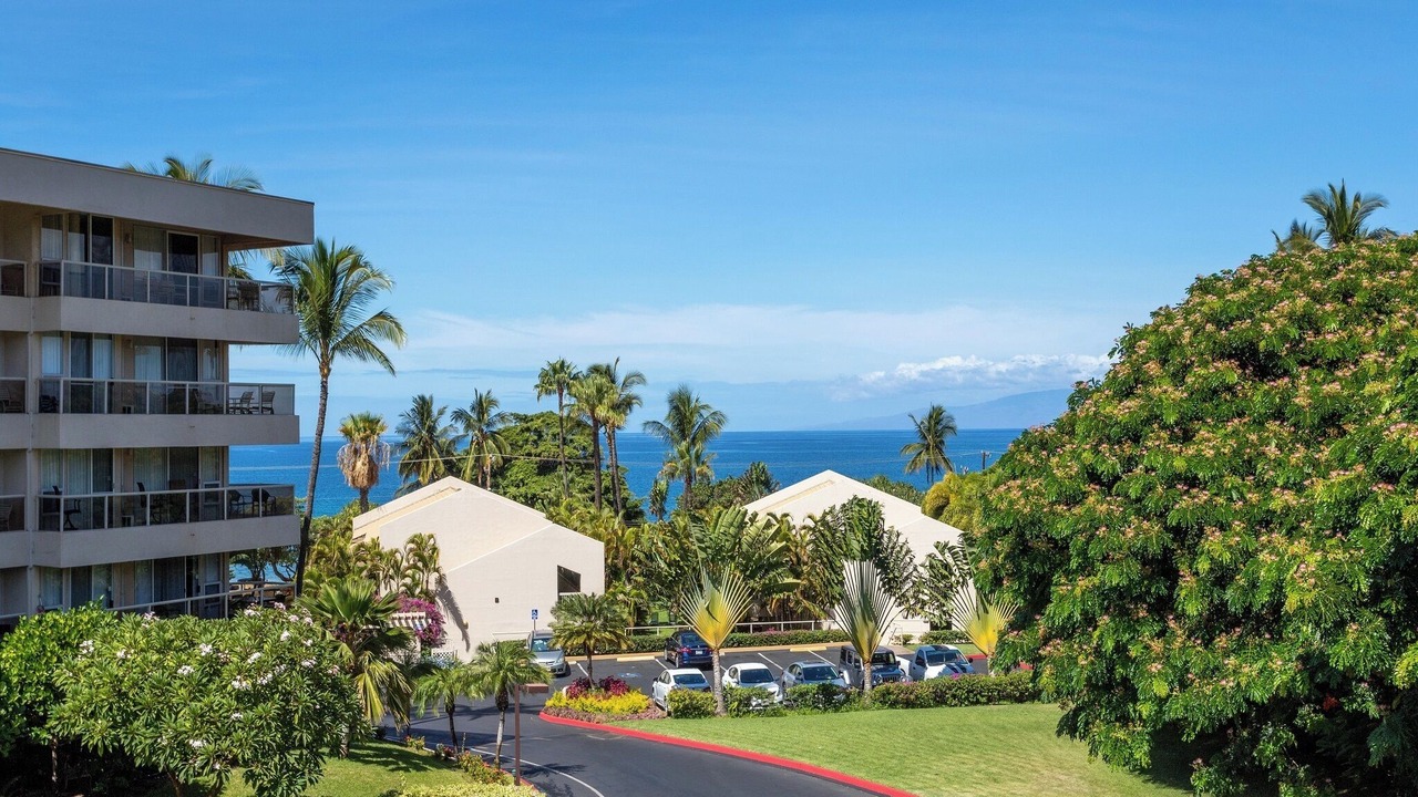 Photo of Outdoor in Kihei