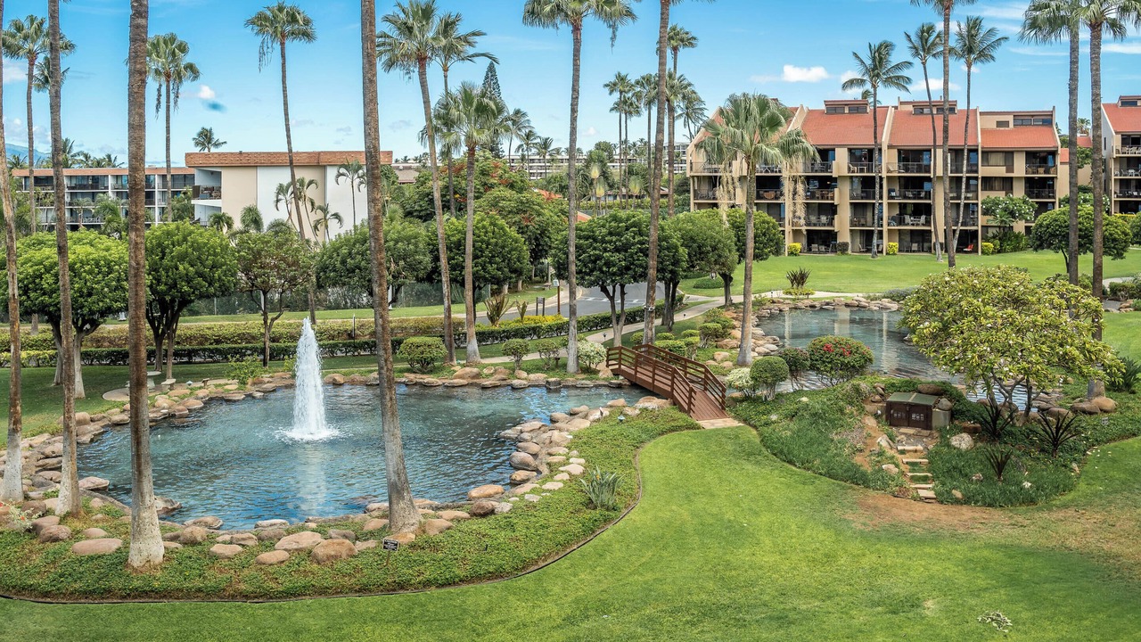 Photo of Outdoor in Kihei