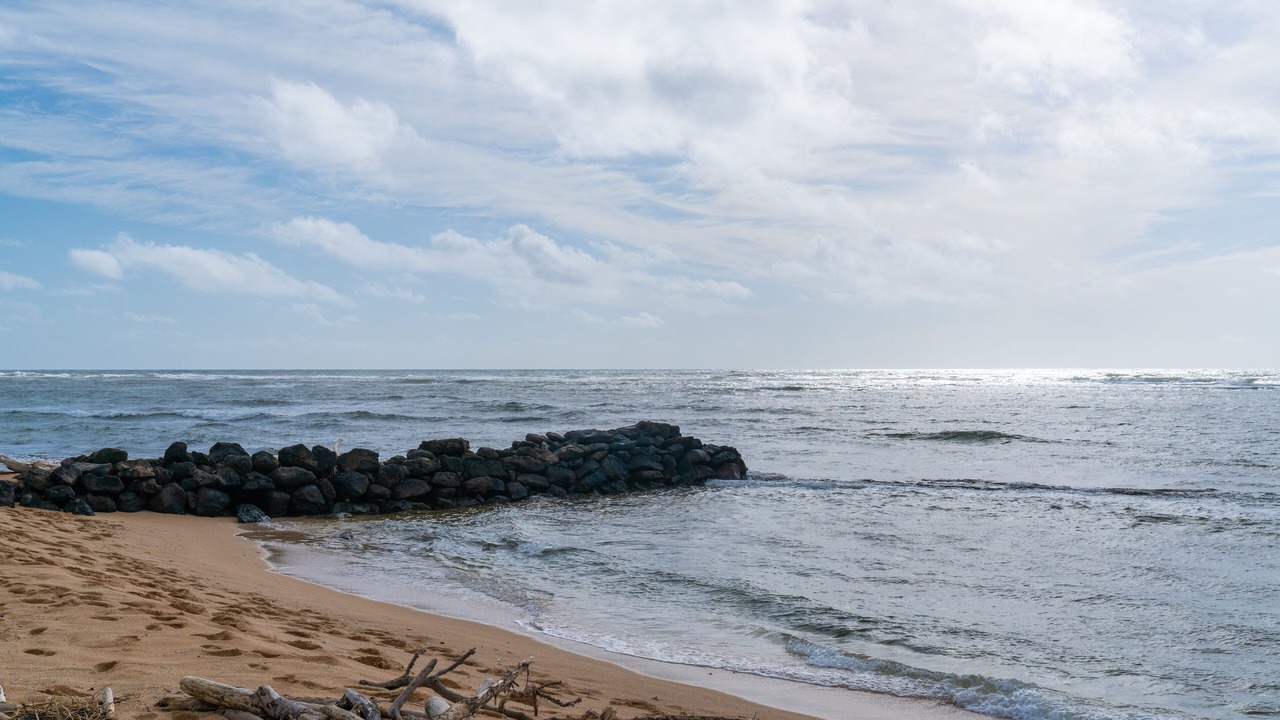 Photo of Others in Wailua