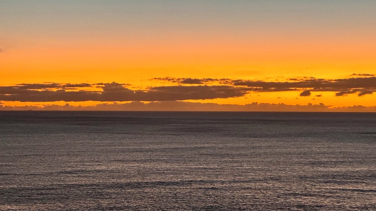 Photo of Others in Diamond Head - Kapahulu - St. Louis