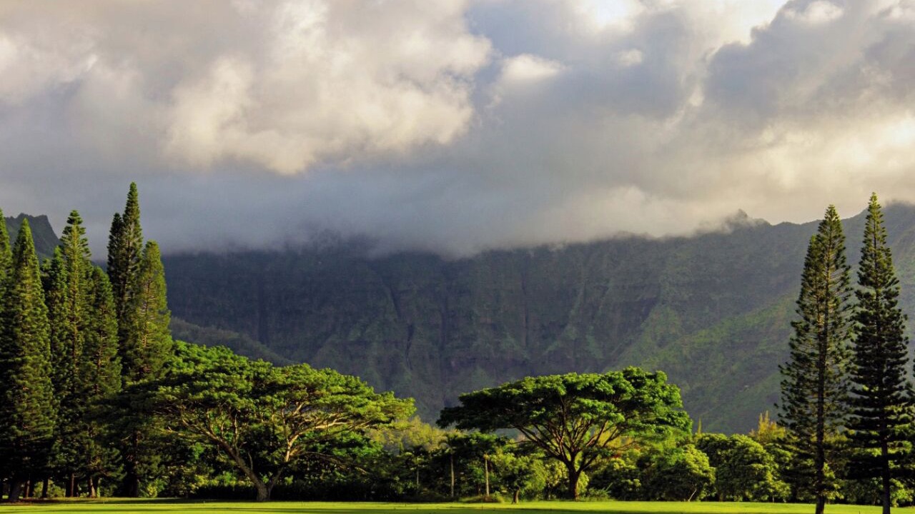 Photo of Others in Princeville