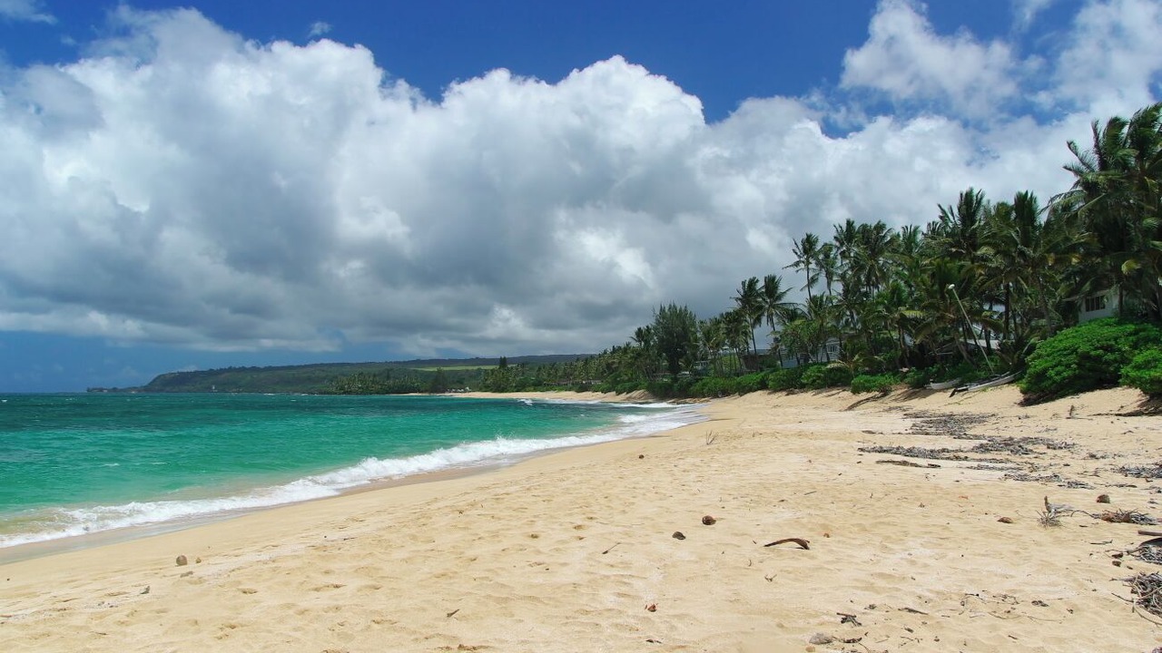 Photo of Others in Waialee