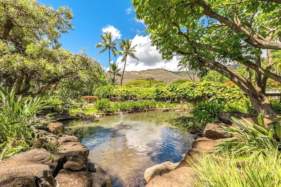 Photo of Outdoor in Hawaii Kai