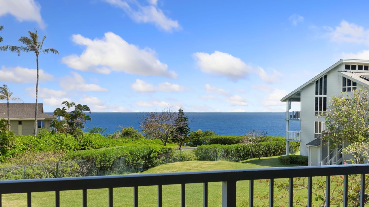 Photo of Others in Princeville