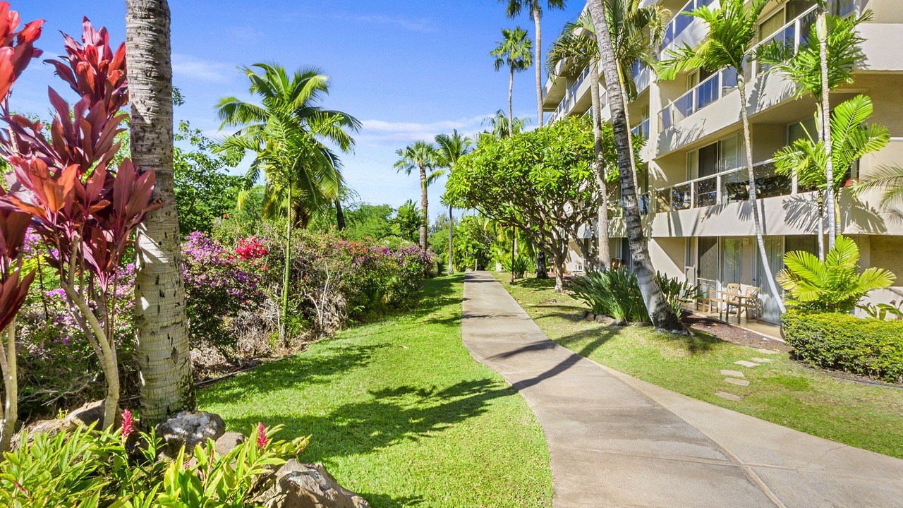 Photo of Outdoor in Kihei