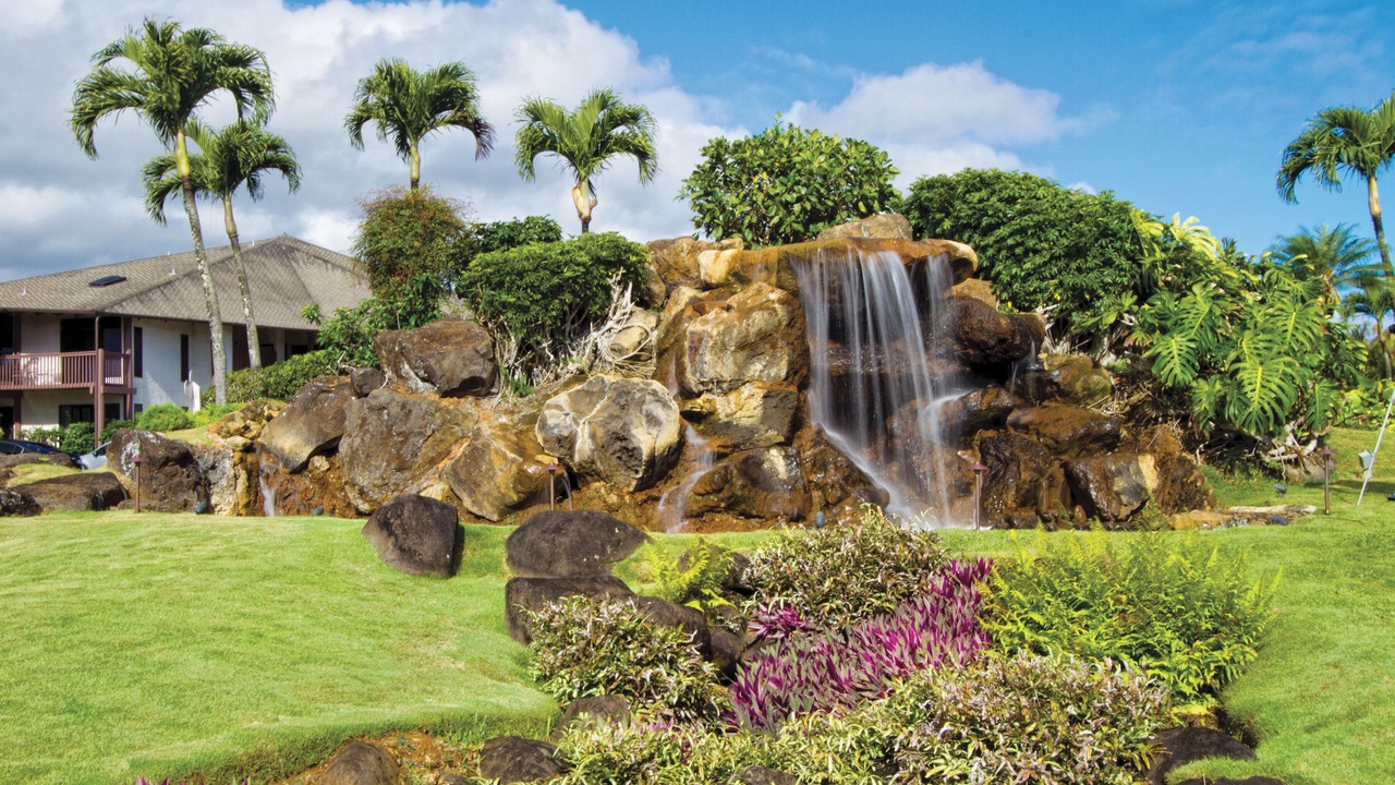 Photo of Others in Princeville