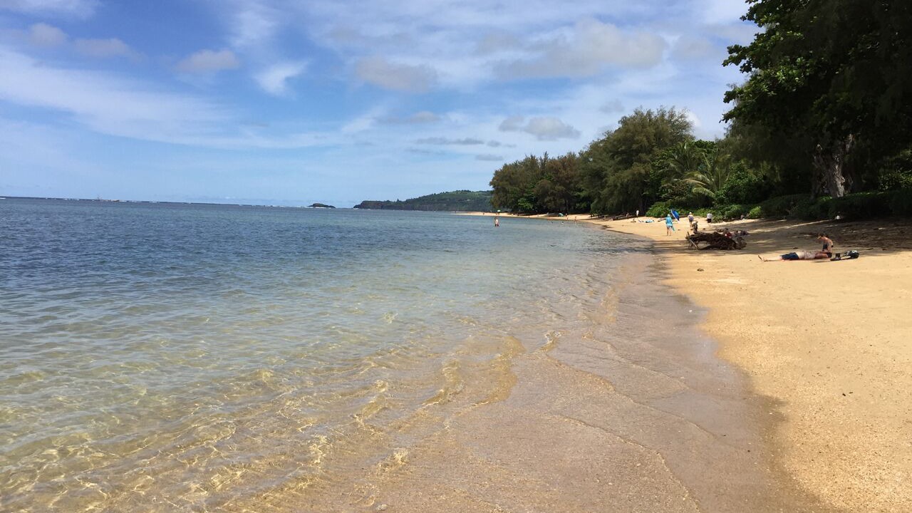 Photo of Others in Princeville