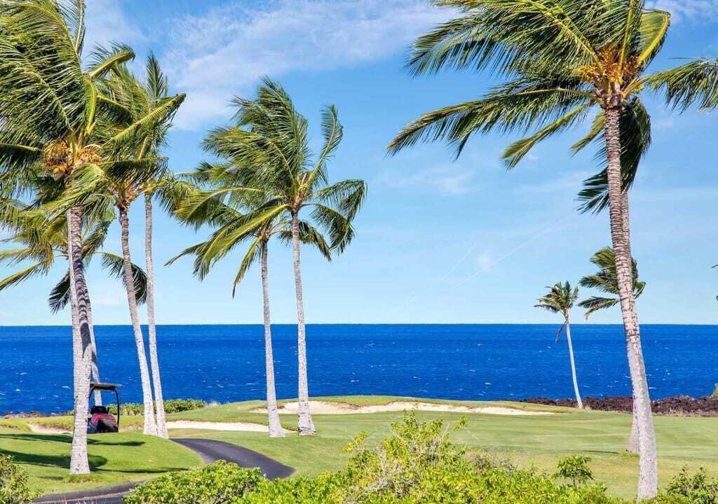 Photo of Others in Waikoloa