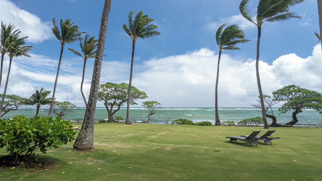 Photo of Outdoor in Wailua