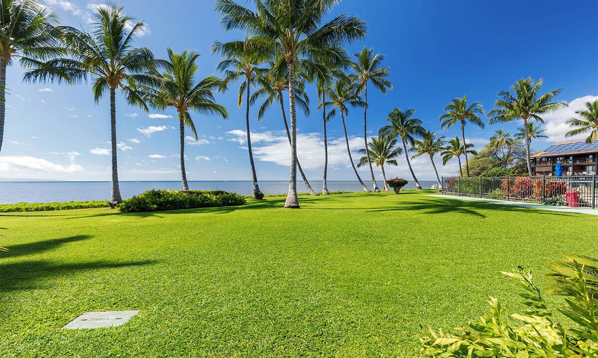 Photo of Outdoor in Kaunakakai