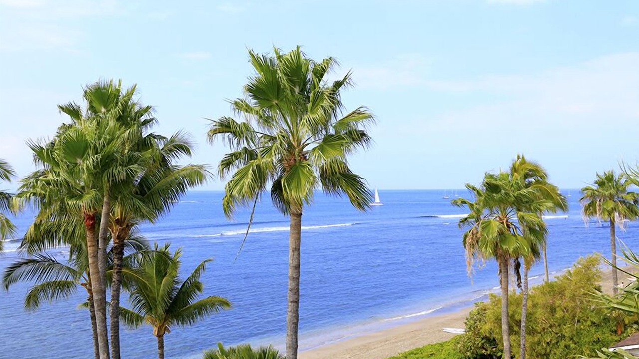 Photo of Others in Historic Lahaina Front Street