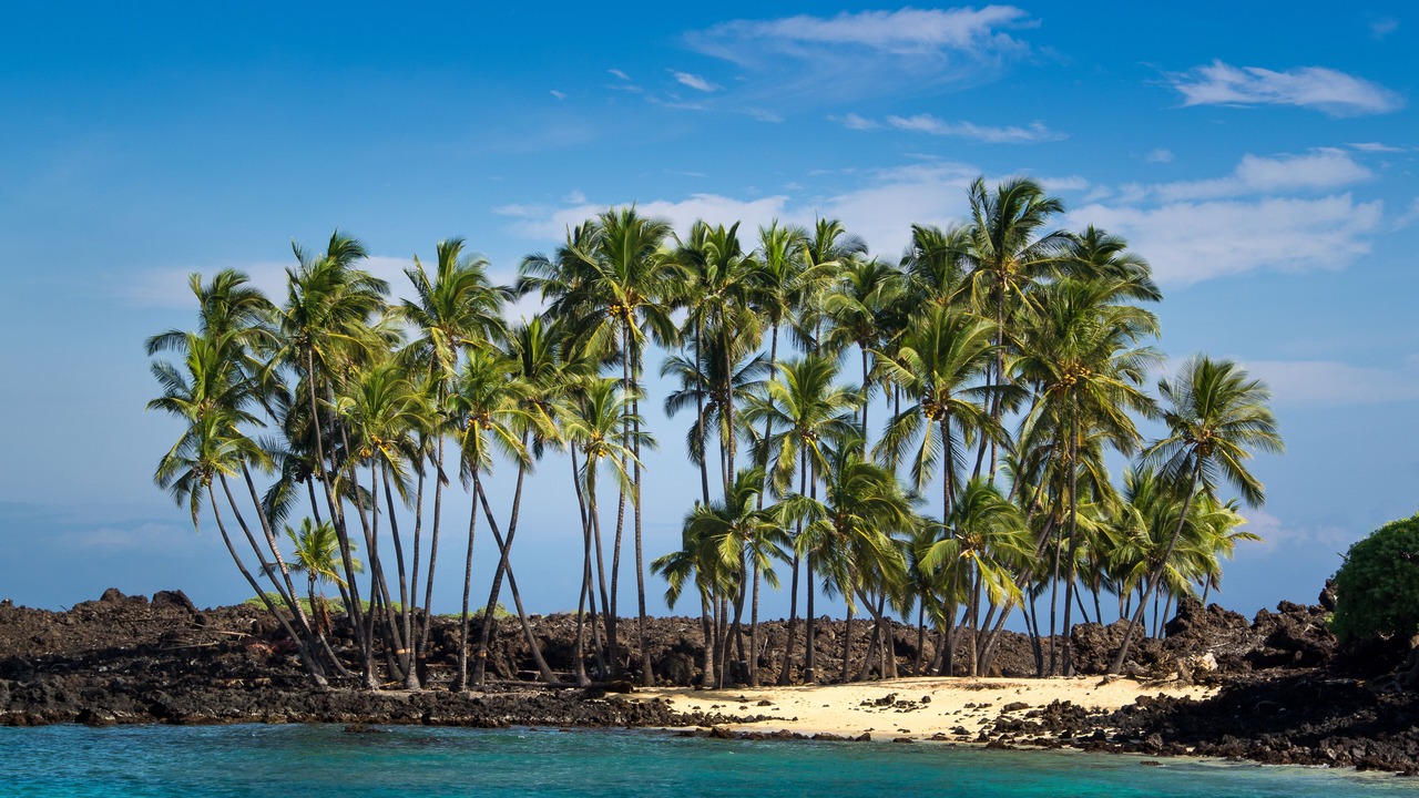 Photo of Others in Kahaluu Bay