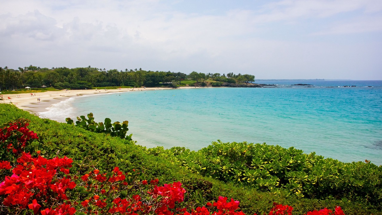 Photo of Others in Kahaluu Bay