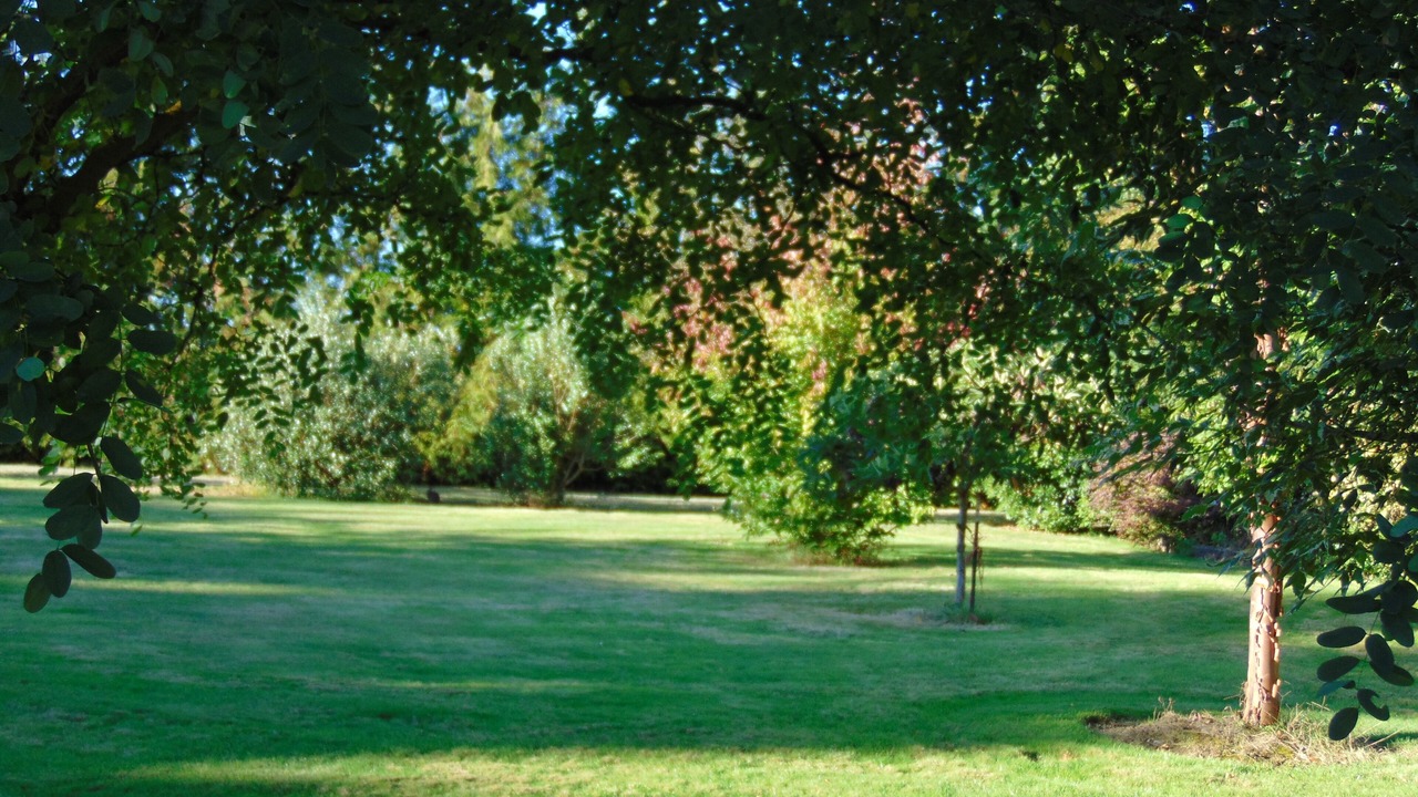 Photo of Outdoor in Canby