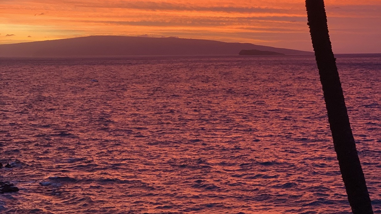 Photo of Others in Wailea