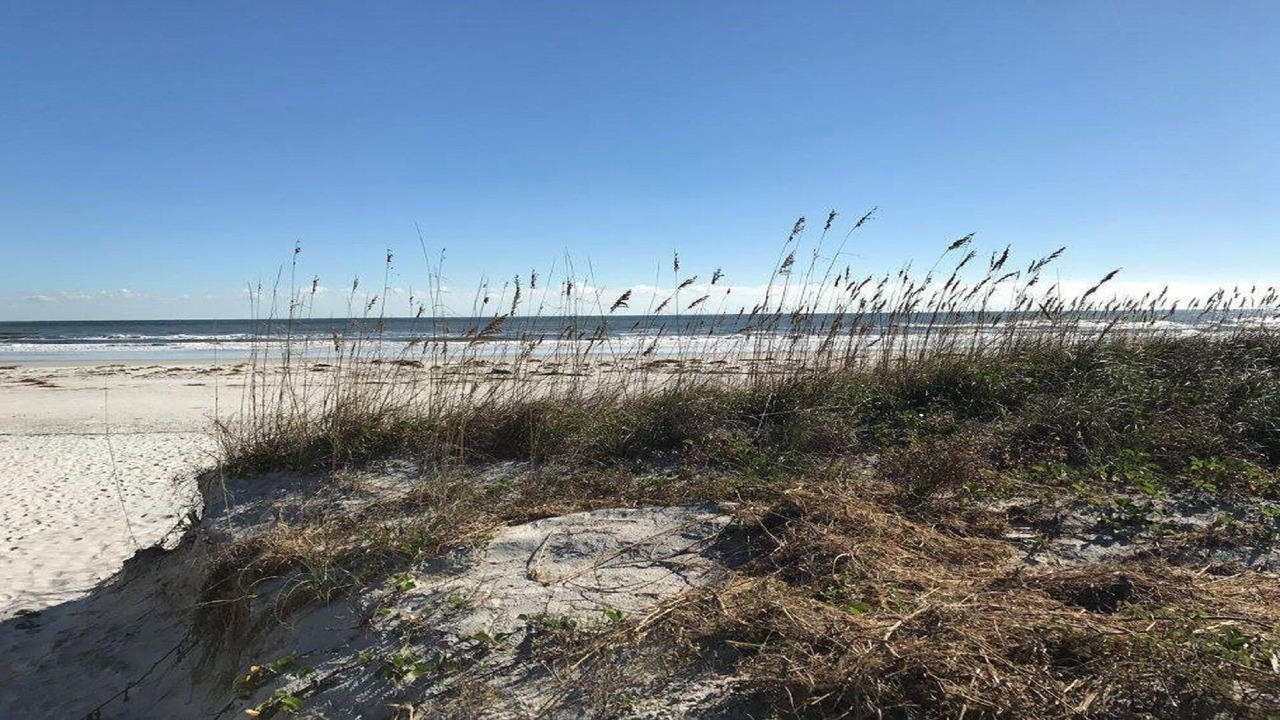 Photo of Others in Butler Beach
