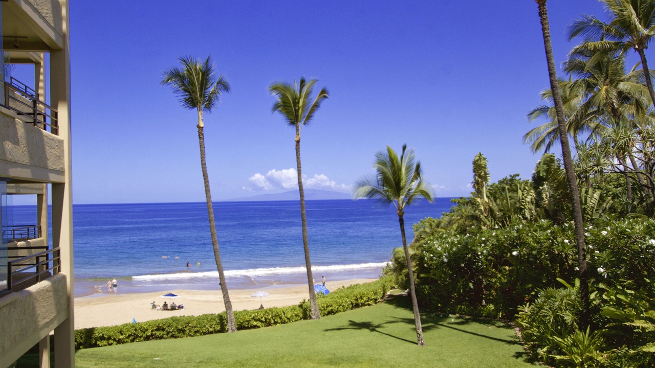Photo of Others in Wailea