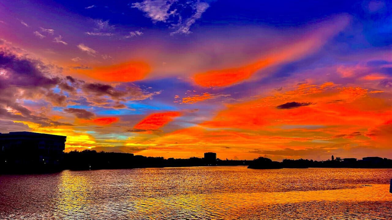 Photo of Others in Siesta Key