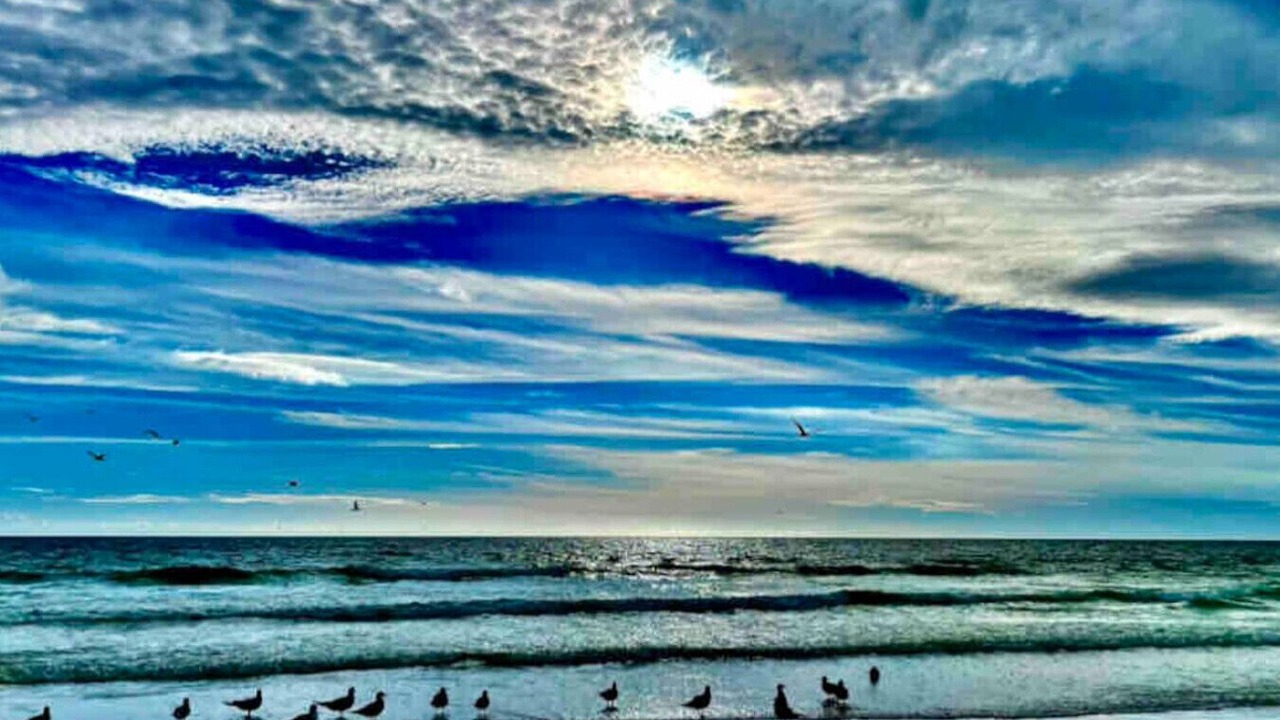 Photo of Others in Siesta Key