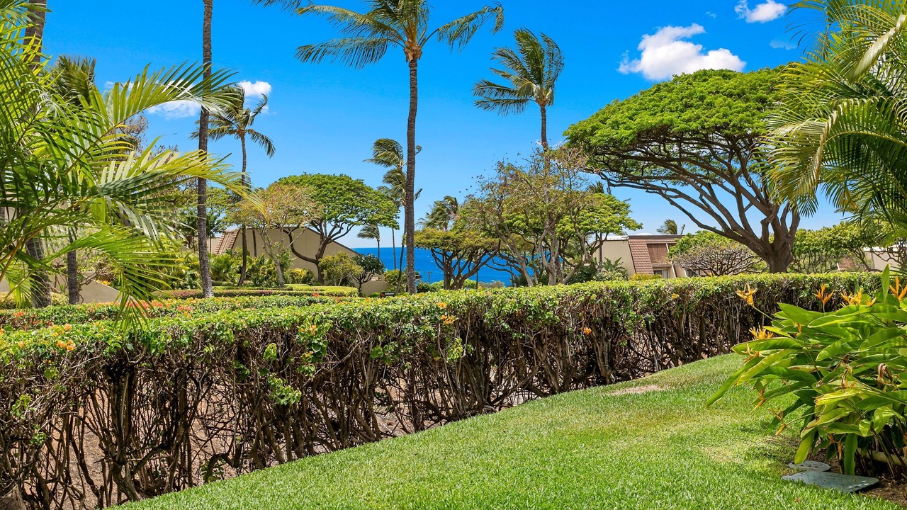 Photo of Others in Kihei
