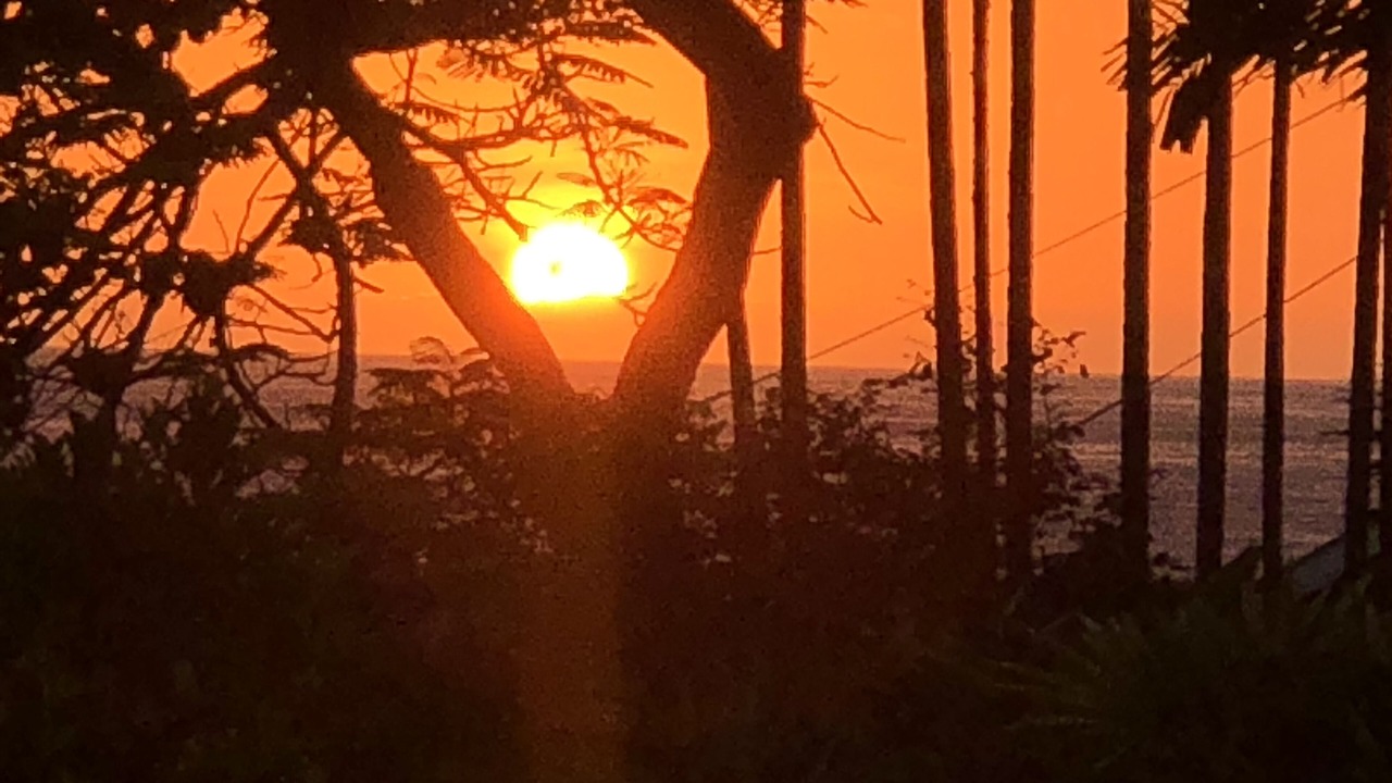 Photo of Others in Kahaluu Bay