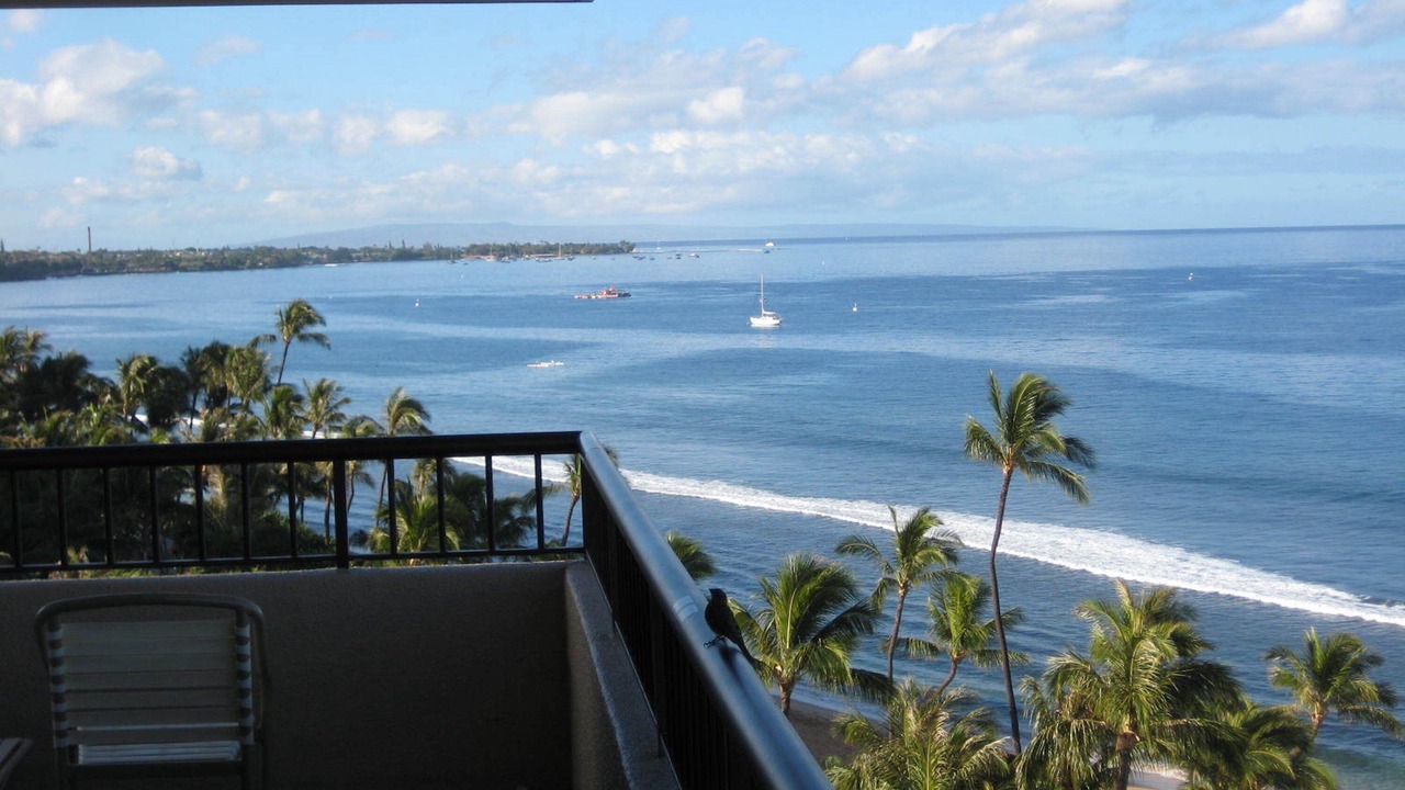Photo of Others in Kaanapali
