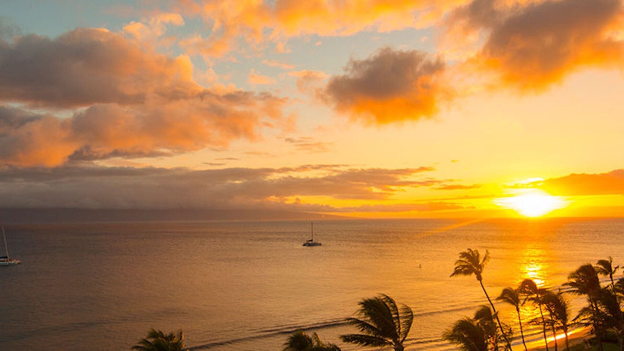 Photo of Others in Kaanapali