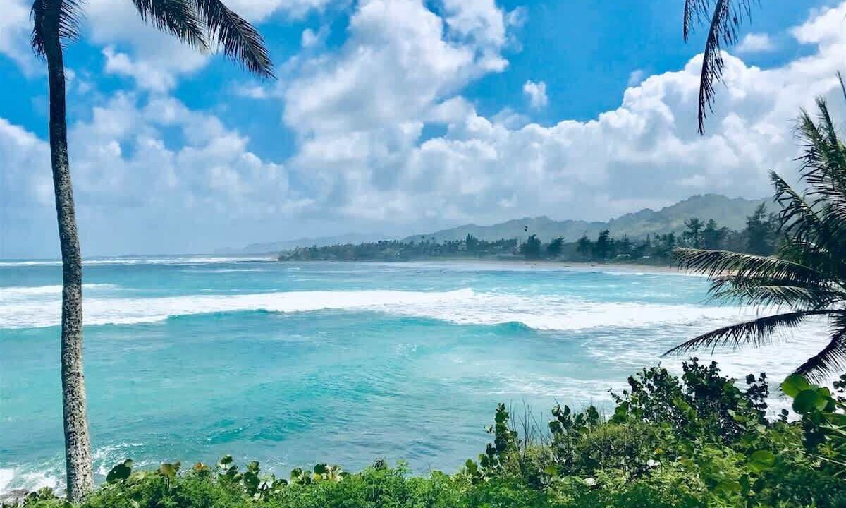Photo of Others in Wailua