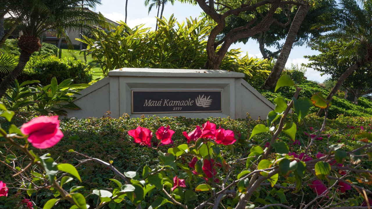 Photo of Outdoor in Kihei