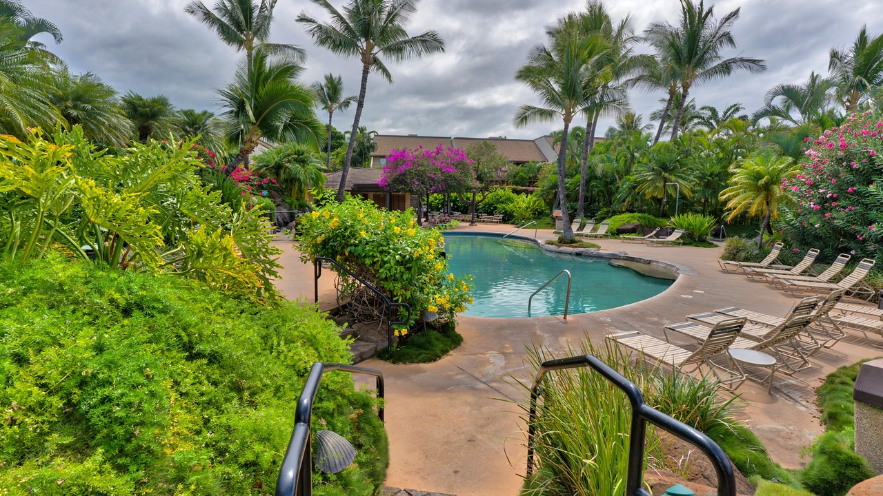 Photo of Outdoor in Kihei