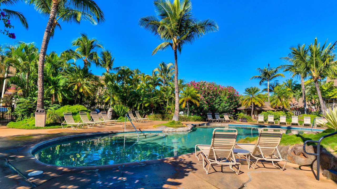 Photo of Outdoor in Kihei