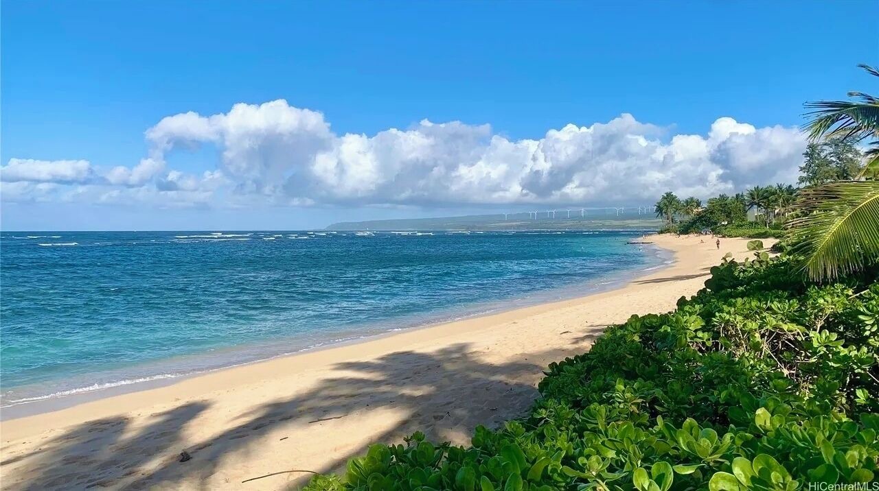 Photo of Others in Mokuleia