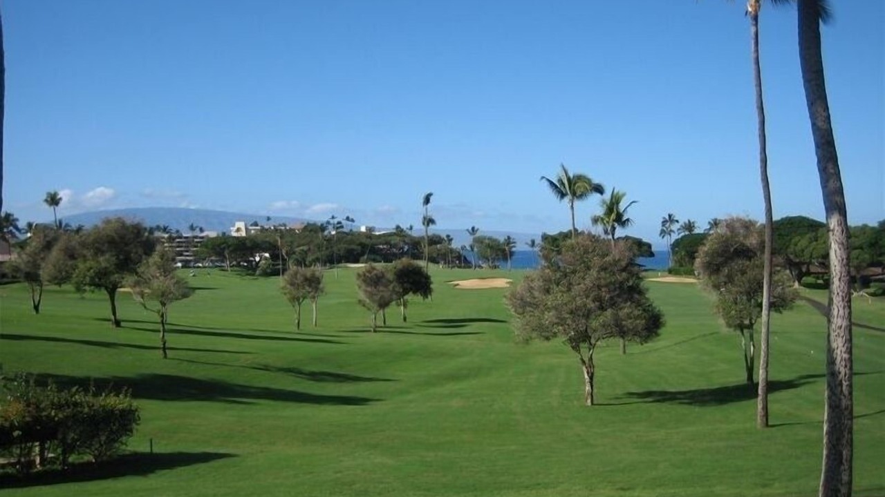 Photo of Others in Kaanapali