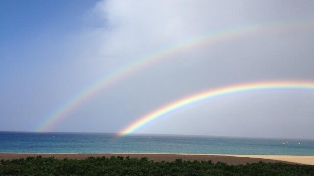 Photo of Others in Kaanapali