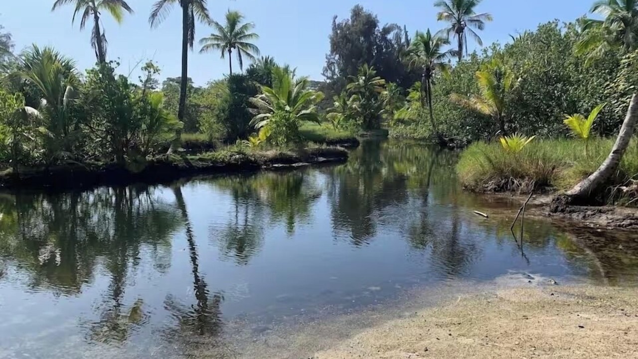 Photo of Others in Keaukaha